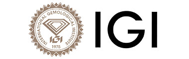 IGI Lab